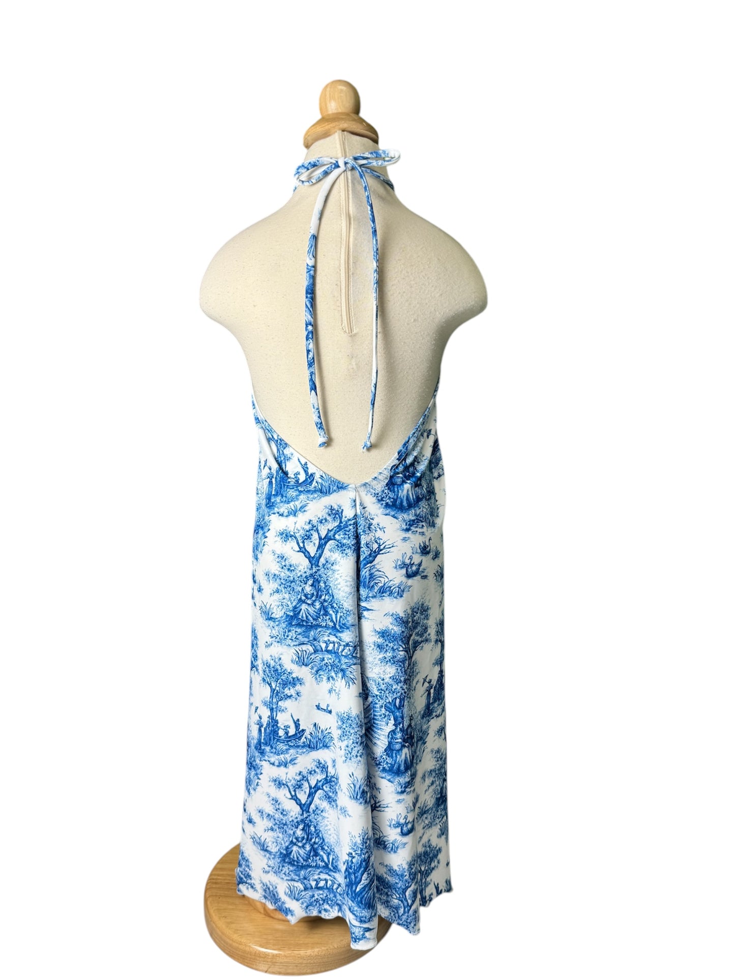 Blue Toile Maxi Dress