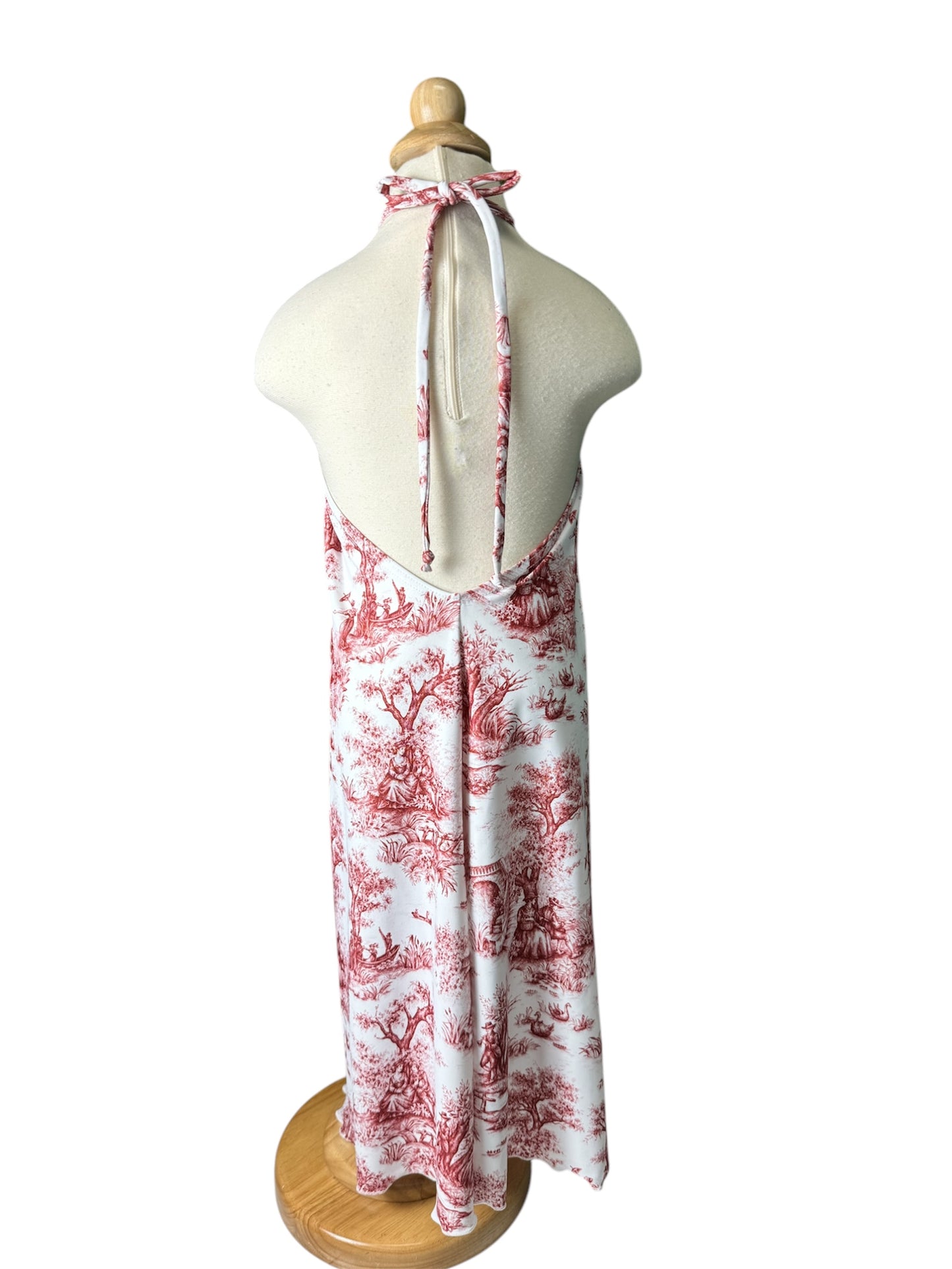 Carmine Toile Maxi Dress