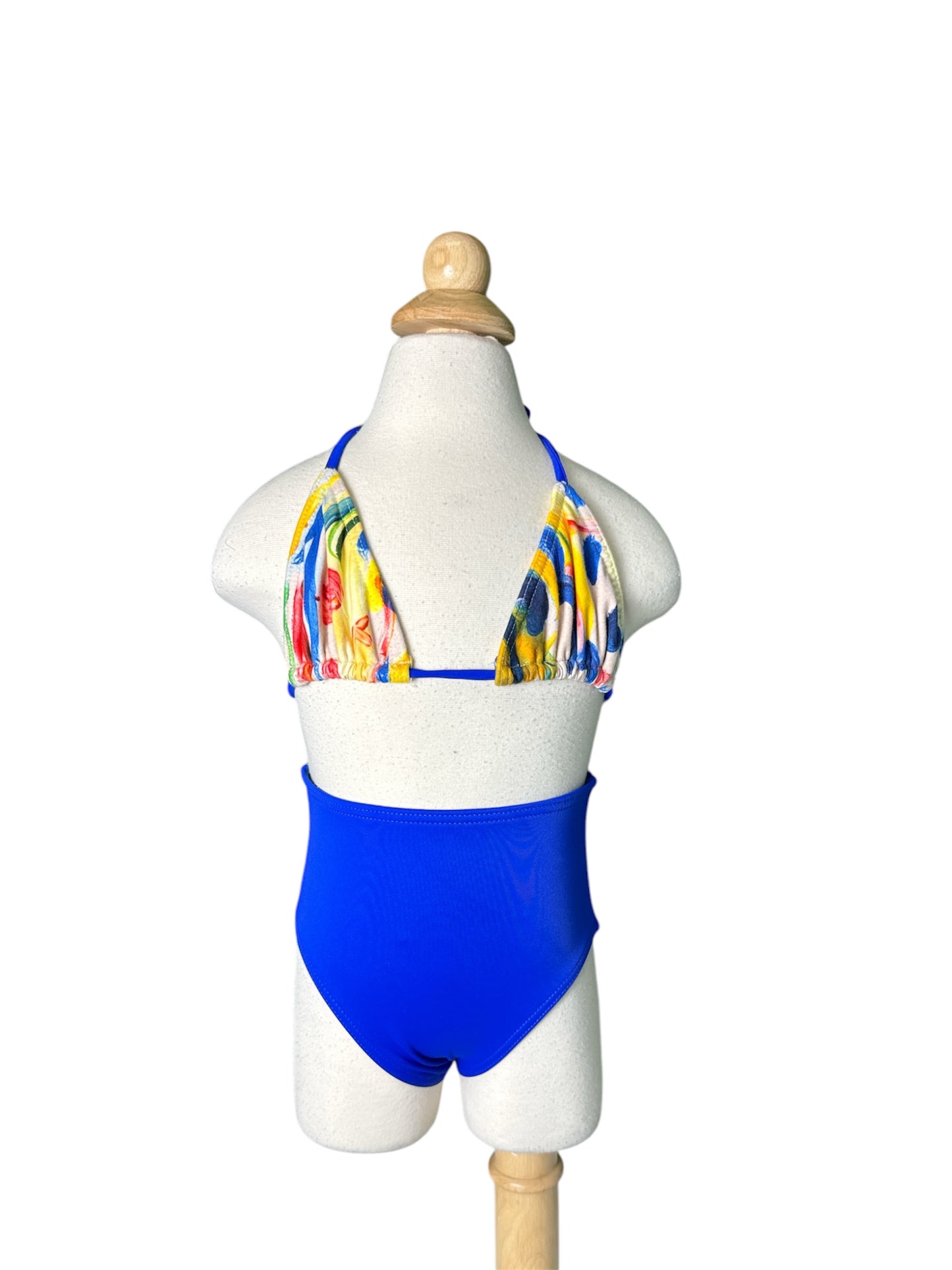 Multi Color Classic Triangle High Waist Swimwear